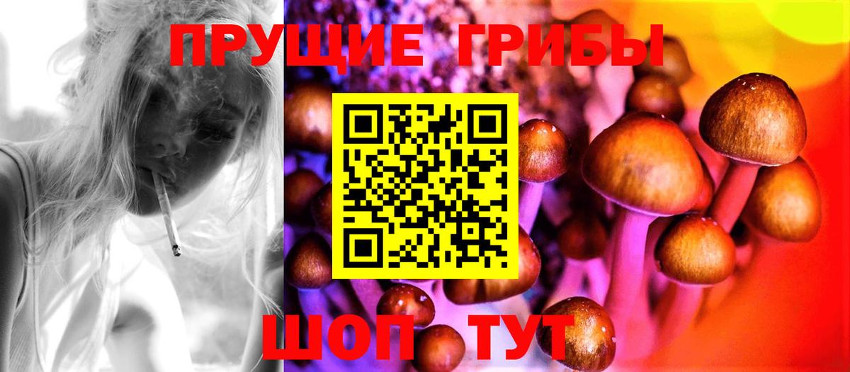 Галлюциногенные грибы мухоморы Котельники